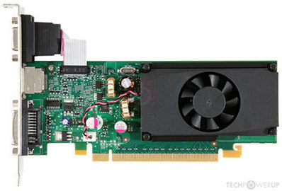 GeForce 205 OEM Image