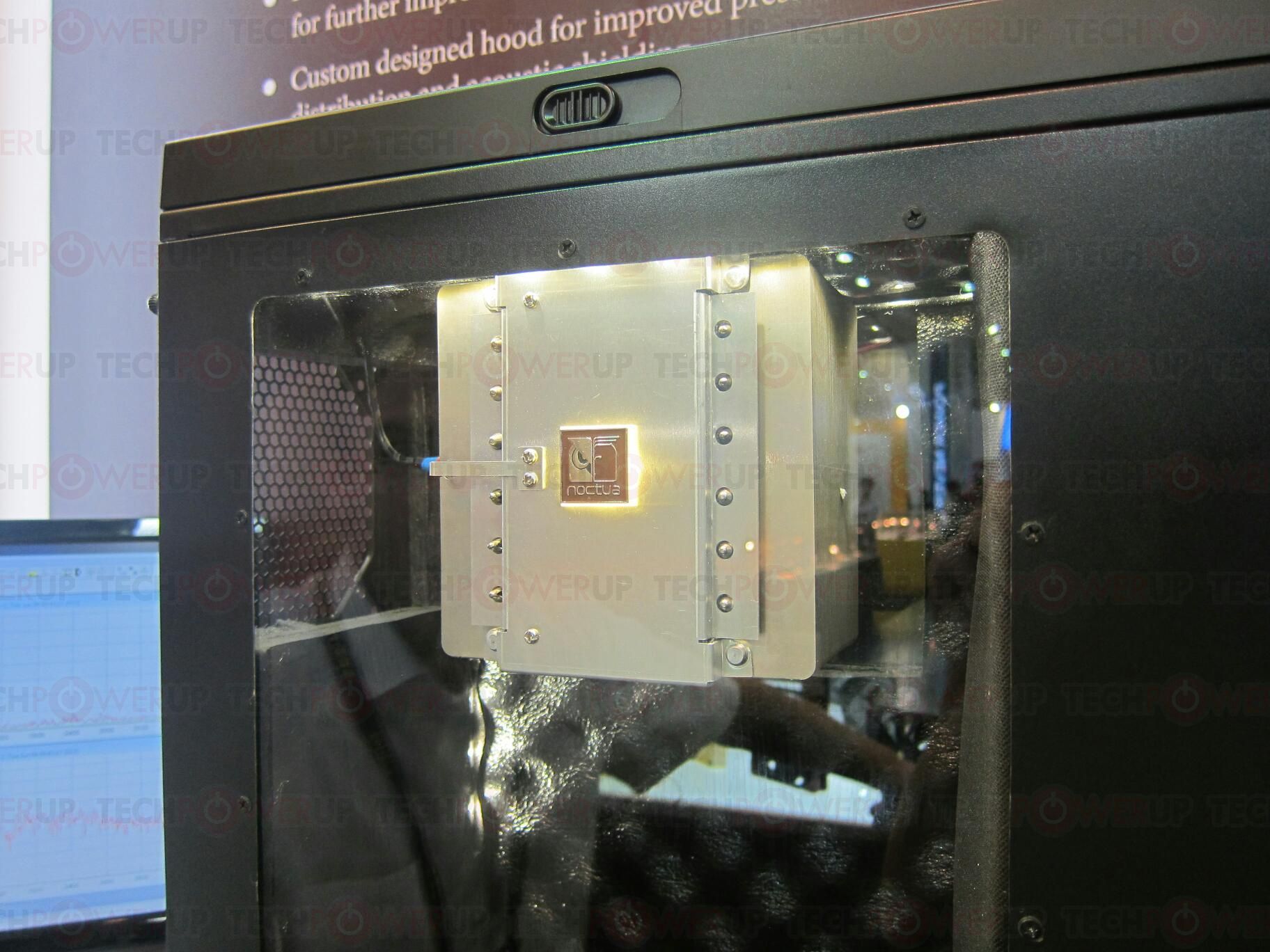 noctua_028.jpg