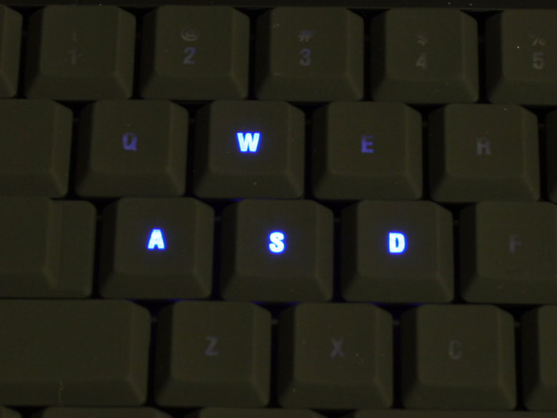 Wasd