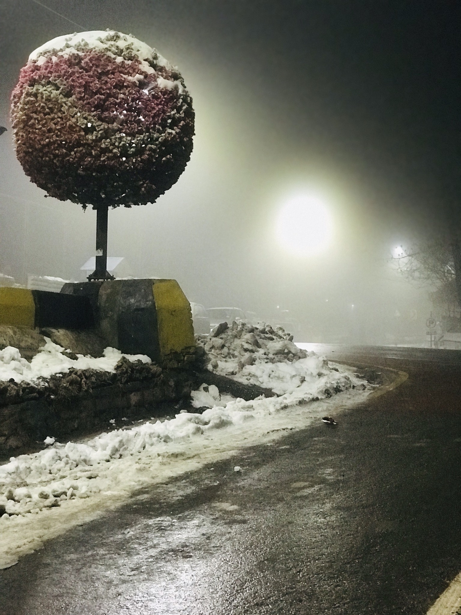 02C992A7-5C1F-41B2-83D3-F999FA8DE198.jpeg