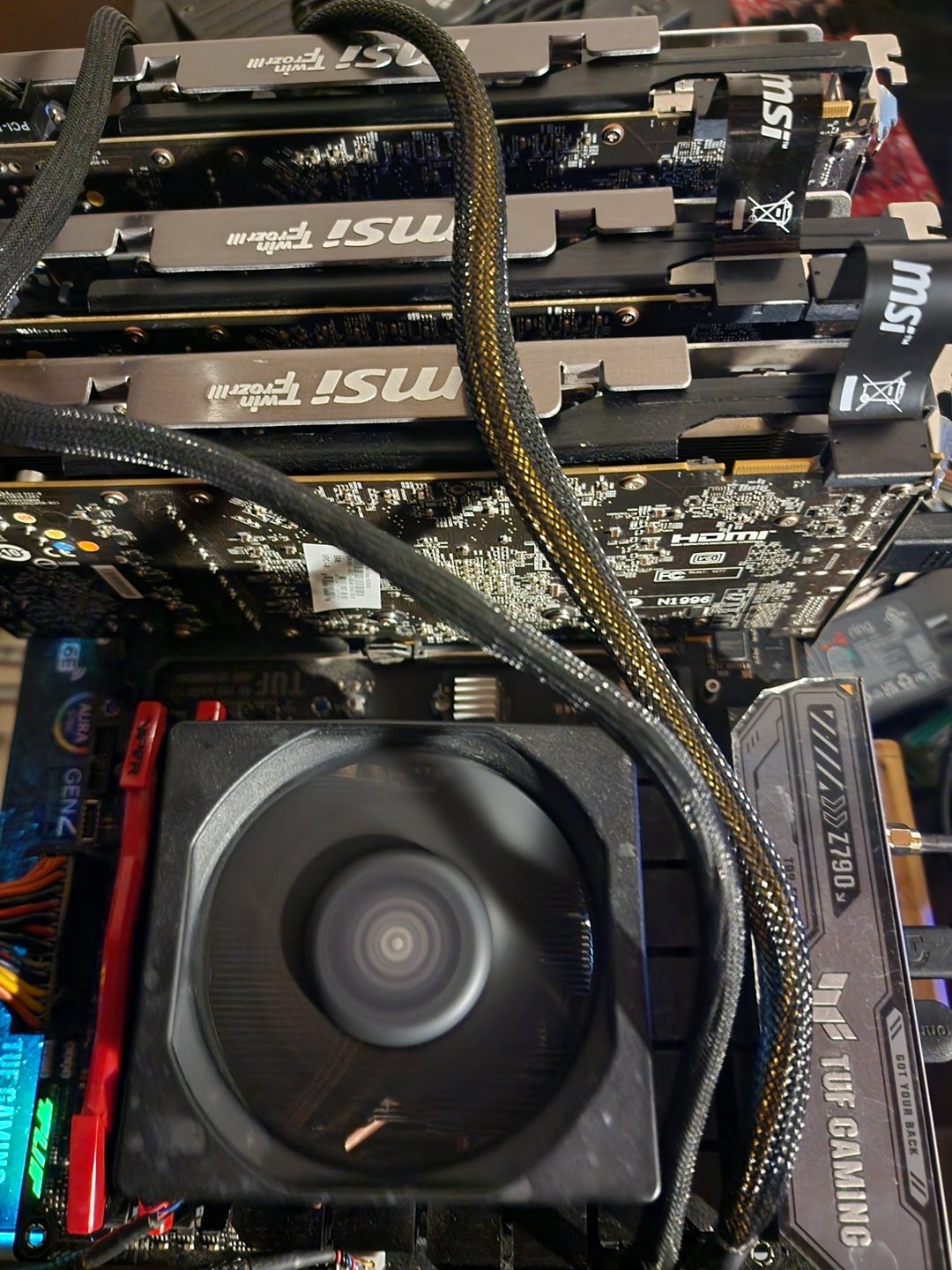 3357884.jpg