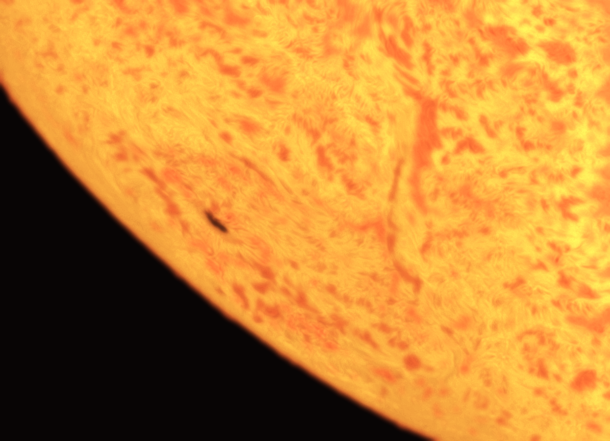 AR2978. 28-3-22.C.png