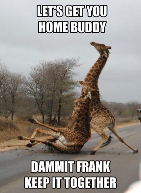 Go+home+giraffe+youre+drunk+description_291c78_4202108.jpg