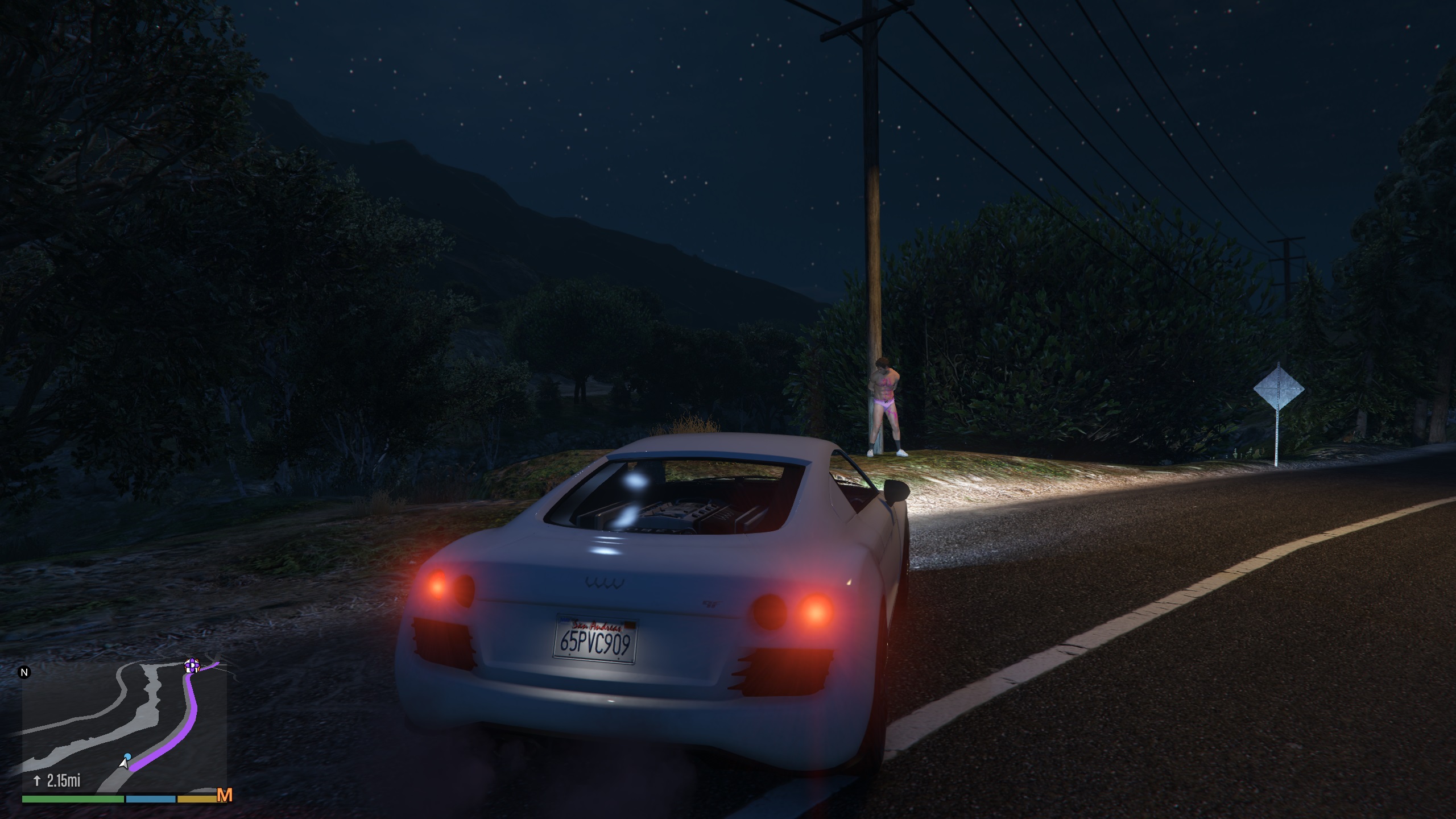 Grand Theft Auto V Screenshot 2020.06.30 - 20.15.06.68.jpg
