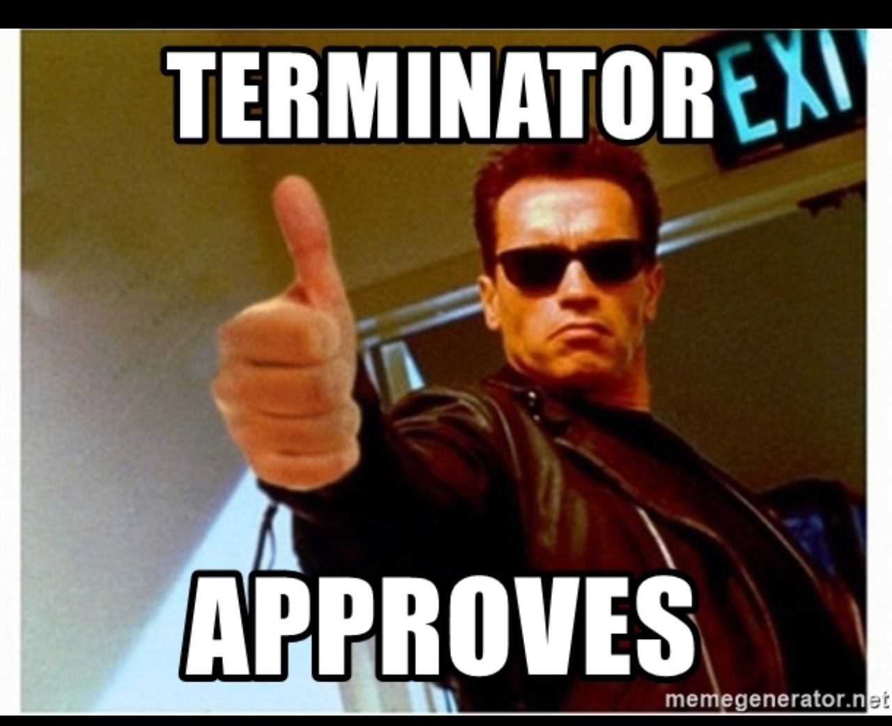 Wifi terminator. Approve Мем. Approved meme. Force approve Мем. Sena approved Мем.