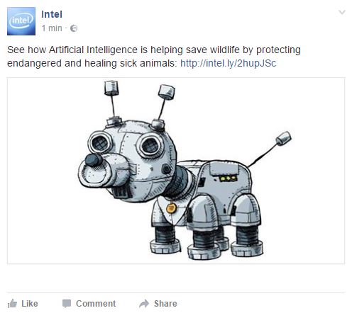 intel.JPG