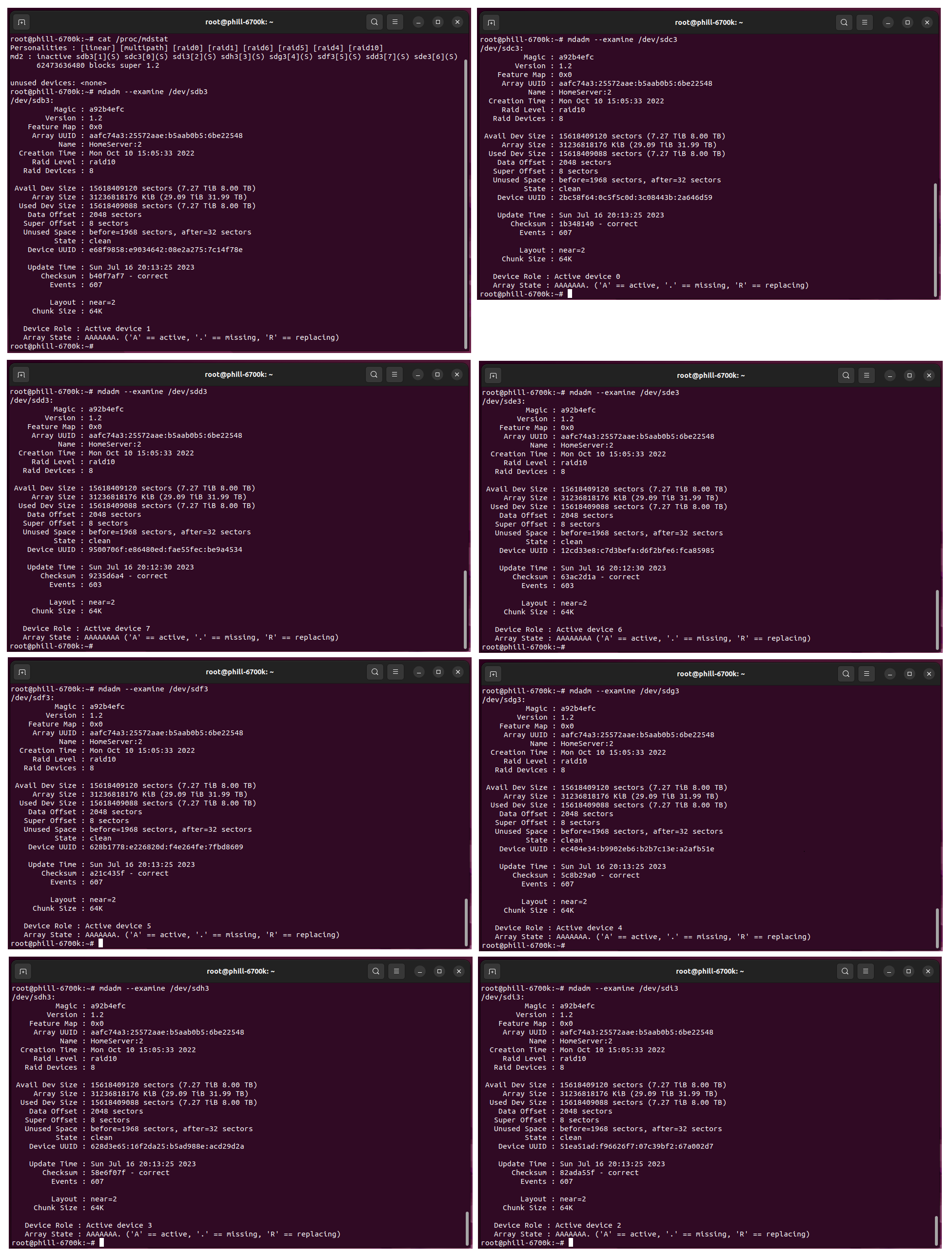 RAID 10 Array.png