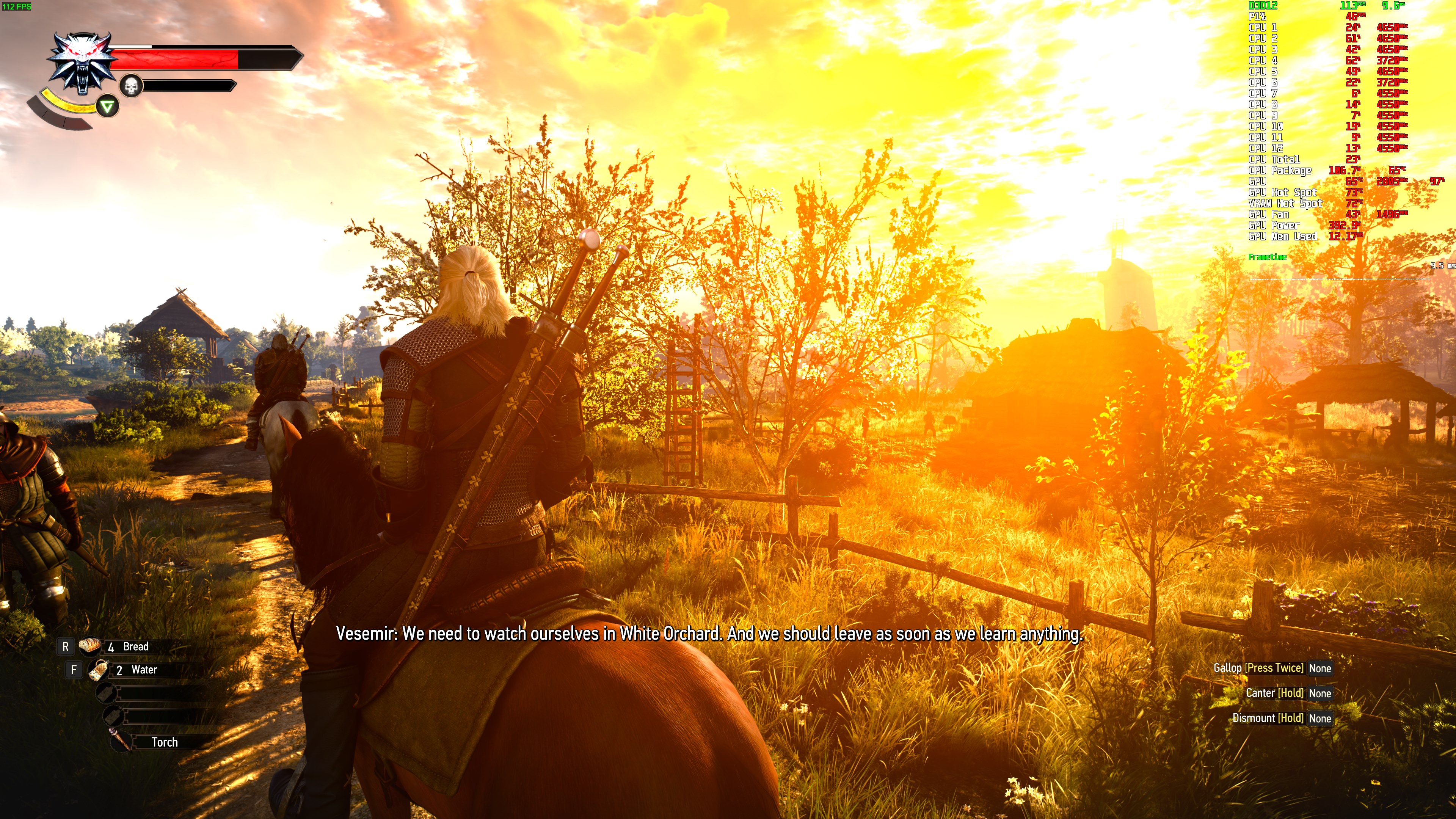 The Witcher 3 4.jpg