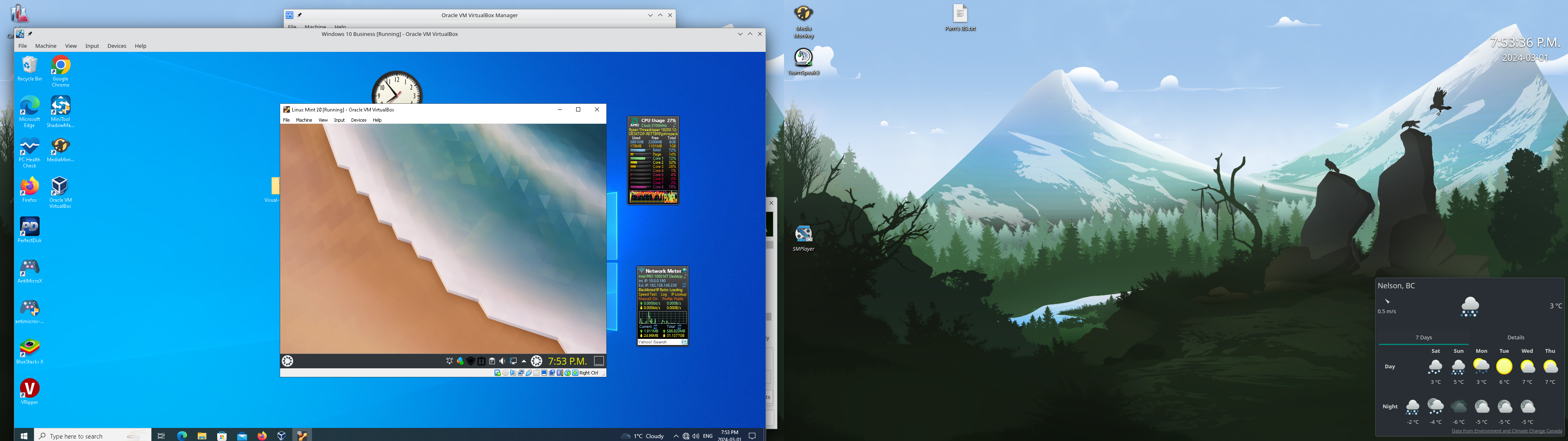 vm in vm.png