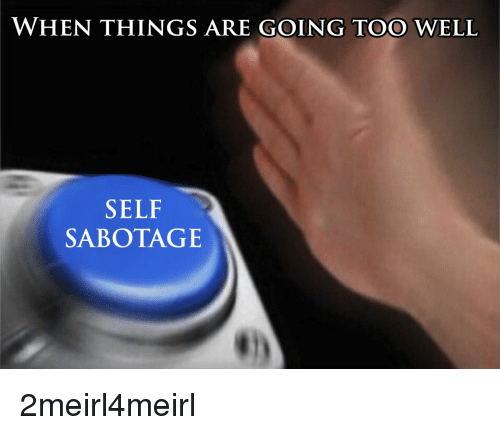 when-things-are-going-too-well-self-sabotage-2meirl4meirl-29644464.png