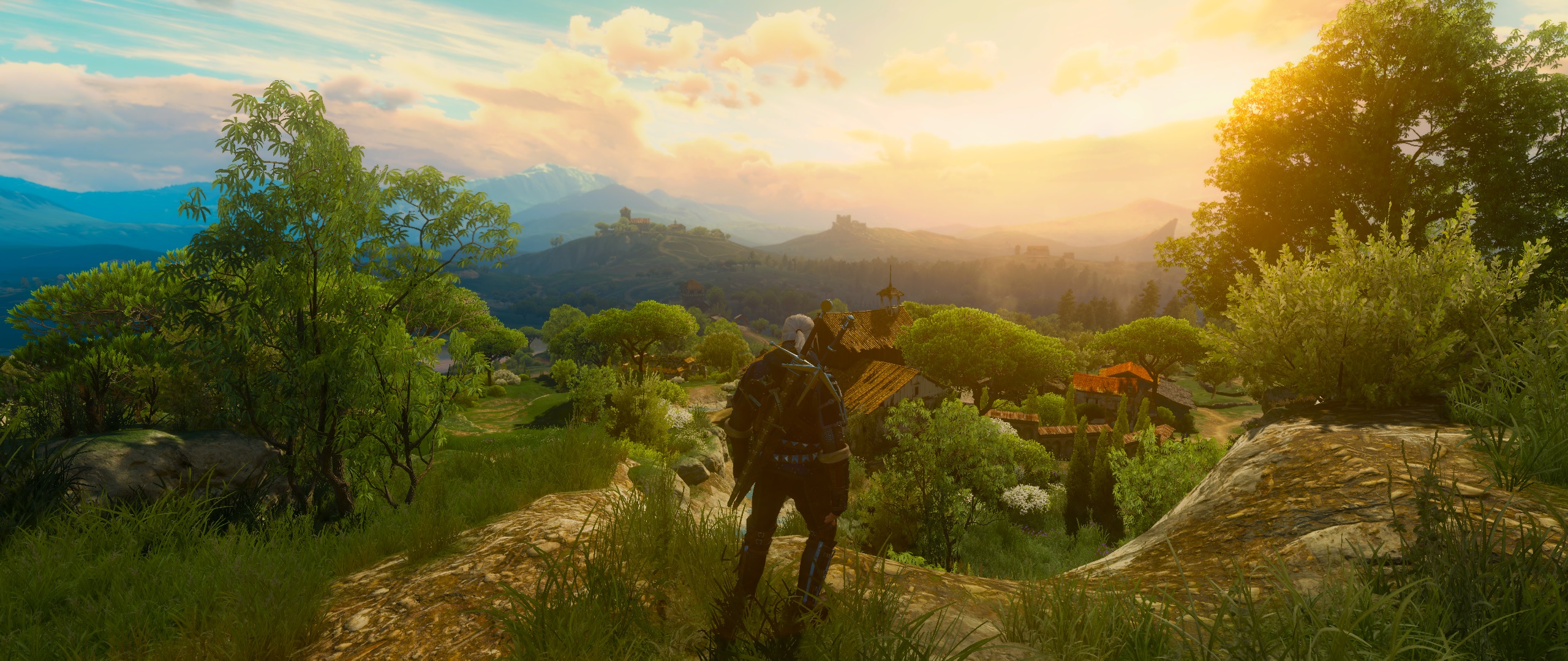 witcher3toussaint.jpg