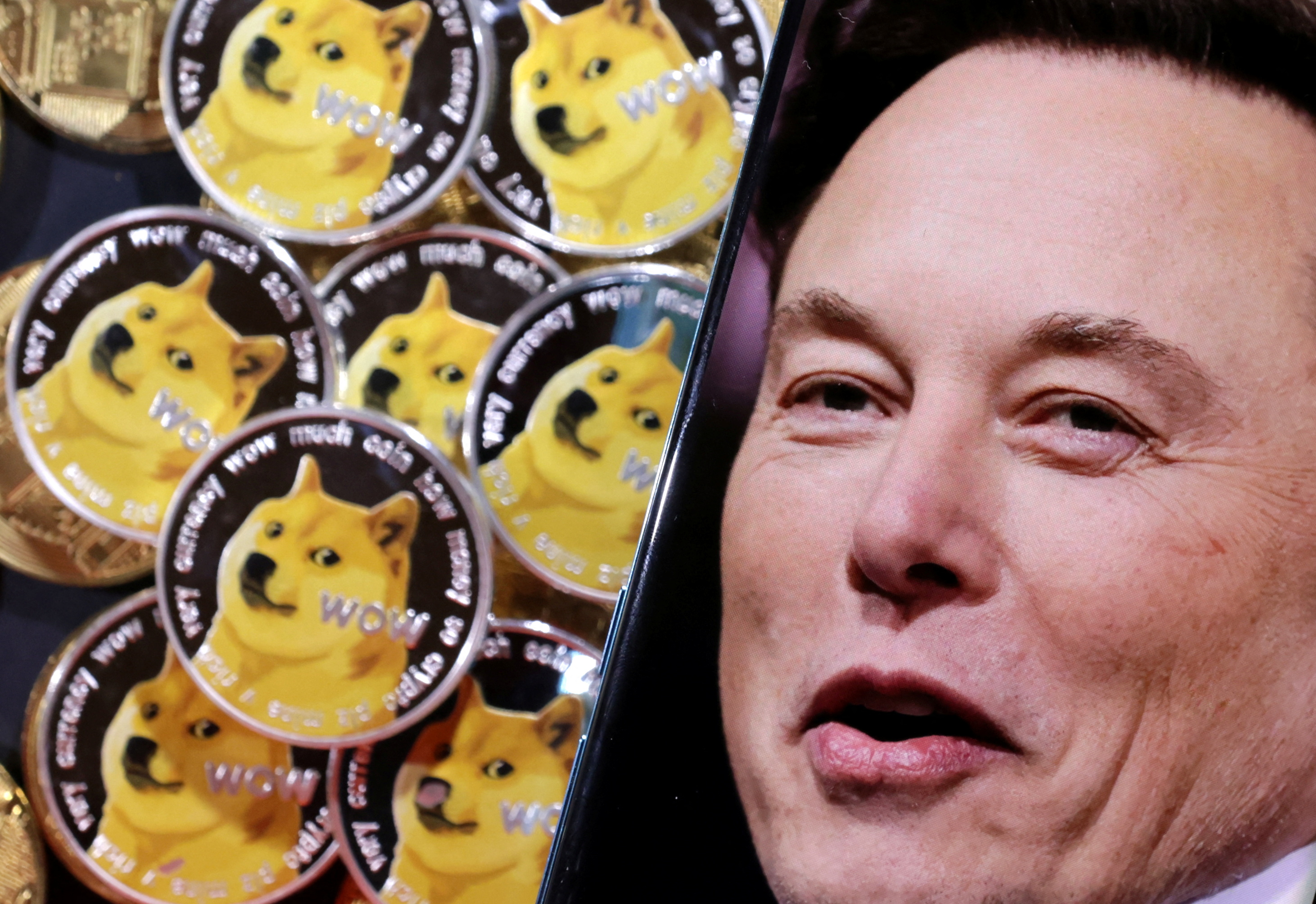 Illustration shows Elon Musk and representations of cryptocurrency Dogecoin