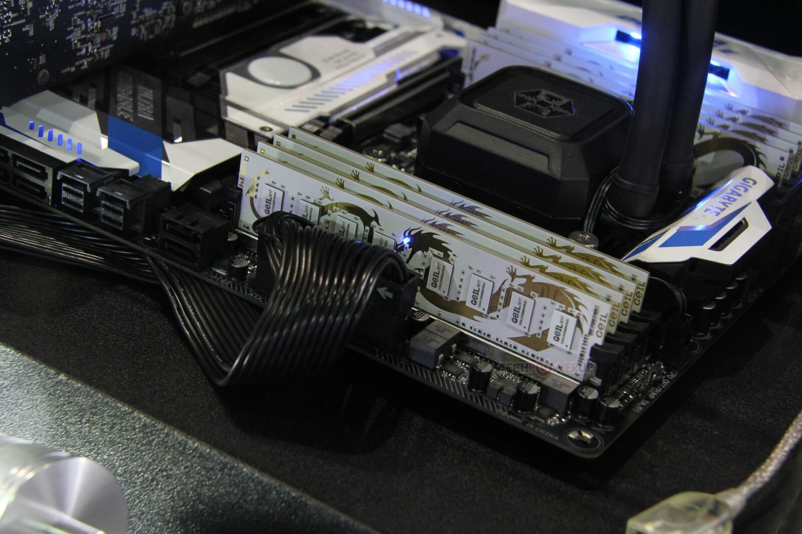 Geil dragon best sale ram