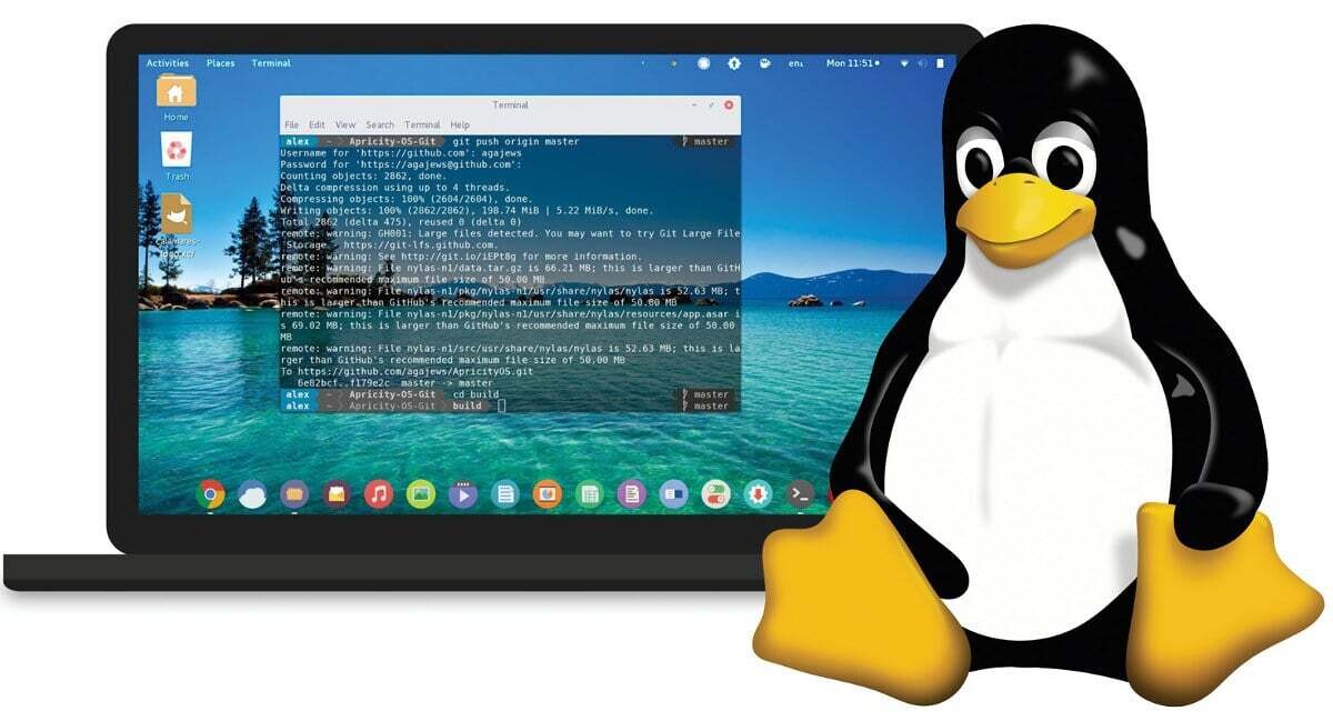 Linux Breaks 3% PC Desktop Market Share After 30 Years | TechPowerUp