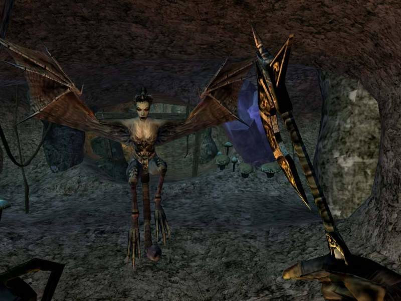 tes25th-morrowind not working