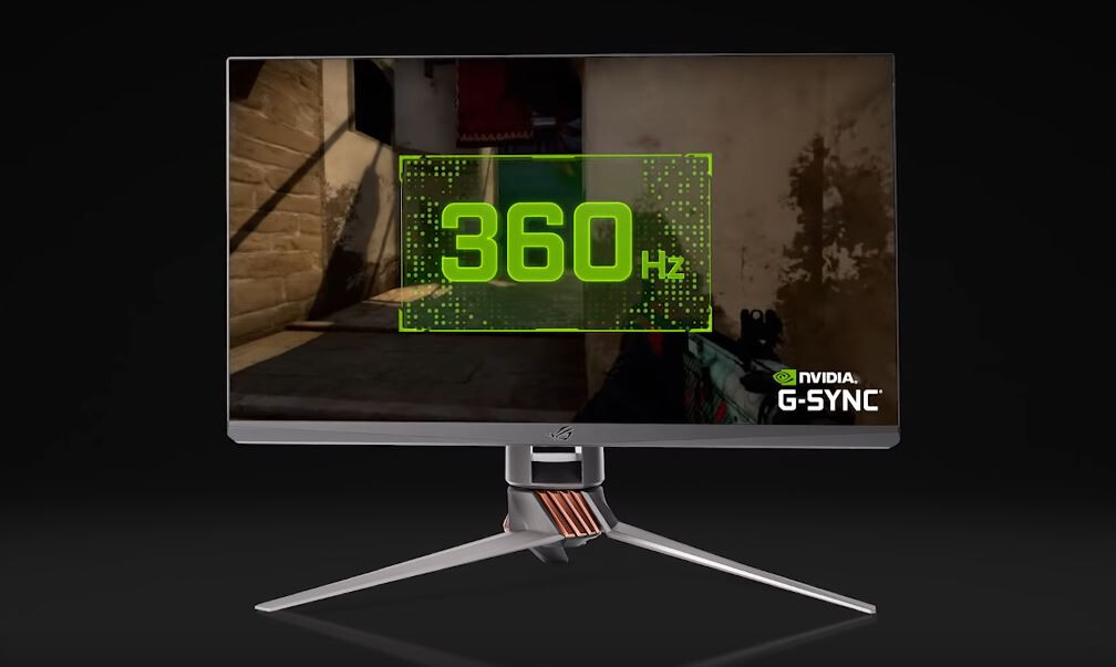 Playing on the World's fastest Gaming Monitor 360hz ! 
