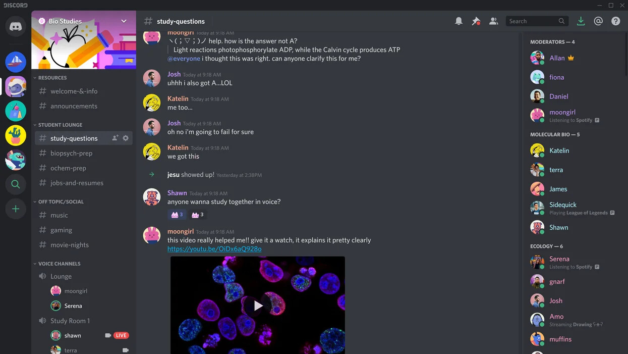 How to join Synapse x Discord **2022** (outdated) 